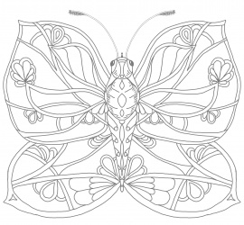 Schmetterling mit fantasievollem Muster auf den Flügeln